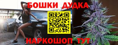 индика Кингисепп