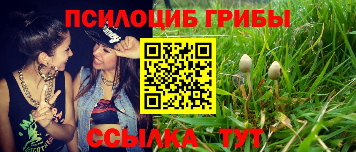 Галлюциногенные грибы Cubensis  Псилоцибиновые грибы Cubensis  Северодвинск  Вход с VPN 